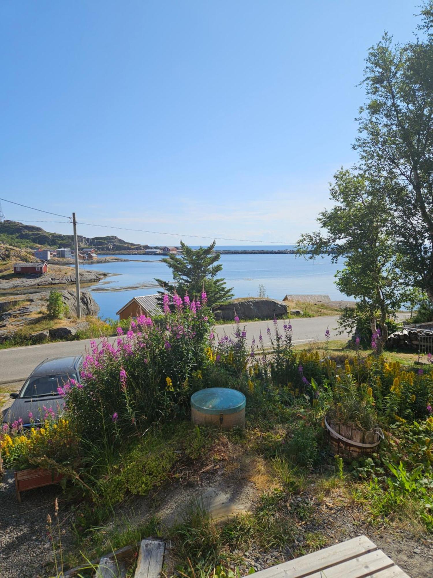 Moskenes Vacation Homes Eksteriør bilde