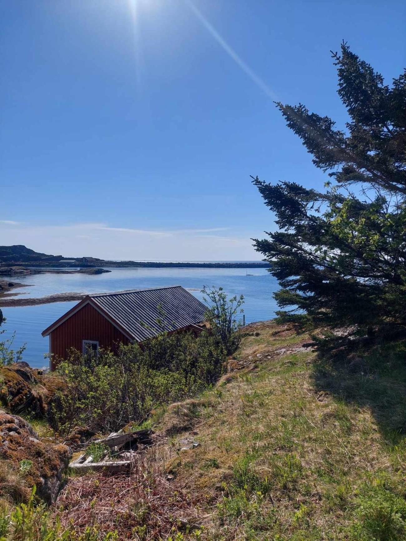 Moskenes Vacation Homes Eksteriør bilde